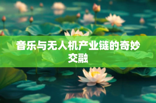 音乐与无人机产业链的奇妙交融
