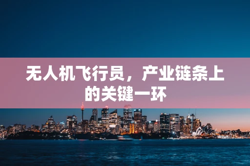 无人机飞行员，产业链条上的关键一环