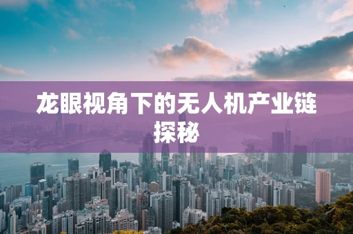 龙眼视角下的无人机产业链探秘