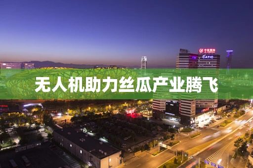 无人机助力丝瓜产业腾飞