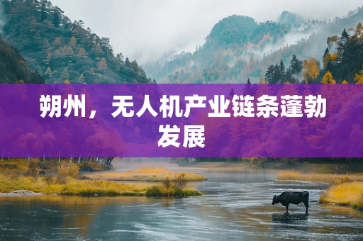 朔州，无人机产业链条蓬勃发展