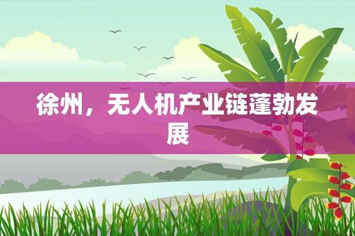 徐州，无人机产业链蓬勃发展