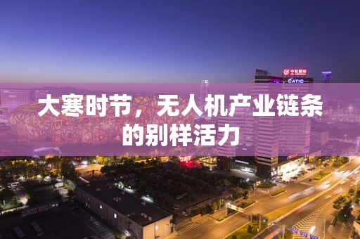 大寒时节，无人机产业链条的别样活力