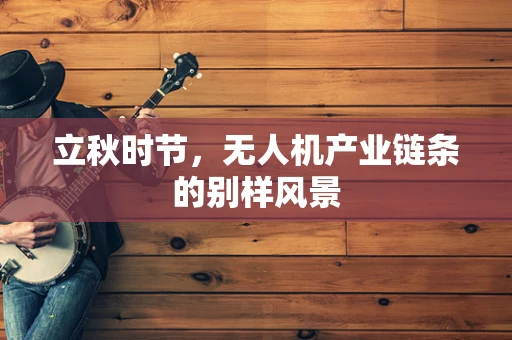 立秋时节，无人机产业链条的别样风景