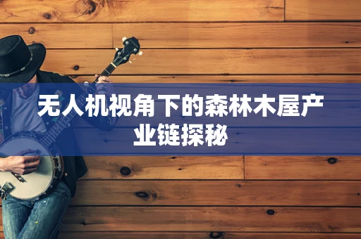 无人机视角下的森林木屋产业链探秘