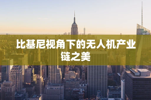 比基尼视角下的无人机产业链之美