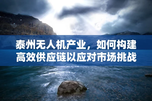 泰州无人机产业，如何构建高效供应链以应对市场挑战？