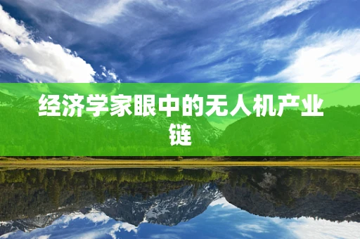 经济学家眼中的无人机产业链