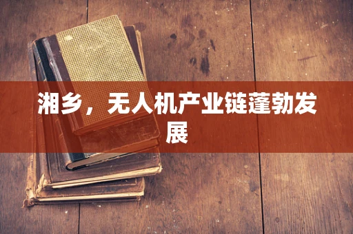 湘乡，无人机产业链蓬勃发展