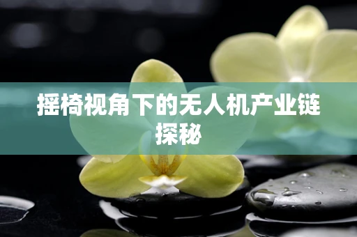 摇椅视角下的无人机产业链探秘