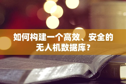 如何构建一个高效、安全的无人机数据库？