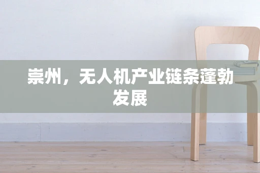 崇州，无人机产业链条蓬勃发展