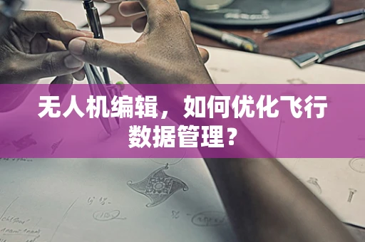 无人机编辑，如何优化飞行数据管理？