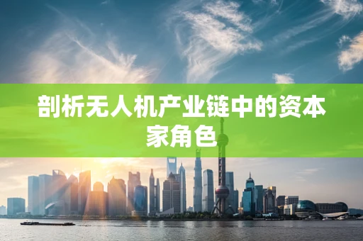 剖析无人机产业链中的资本家角色