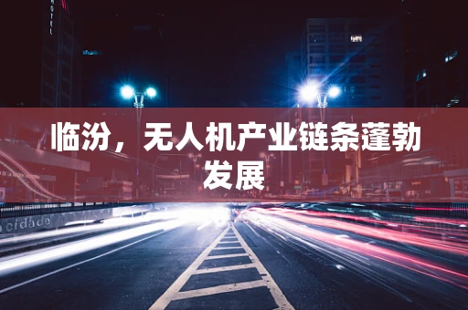 临汾，无人机产业链条蓬勃发展
