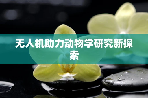 无人机助力动物学研究新探索