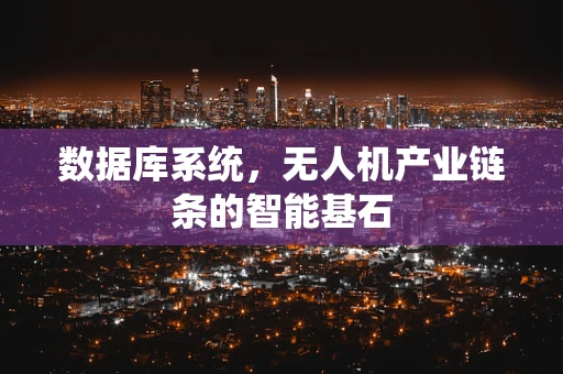 数据库系统，无人机产业链条的智能基石