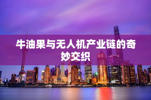 牛油果与无人机产业链的奇妙交织
