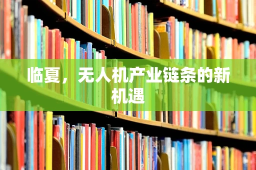 临夏，无人机产业链条的新机遇