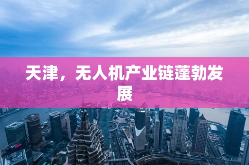 天津，无人机产业链蓬勃发展