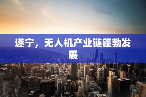 遂宁，无人机产业链蓬勃发展