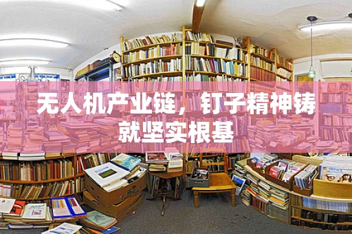 无人机产业链，钉子精神铸就坚实根基