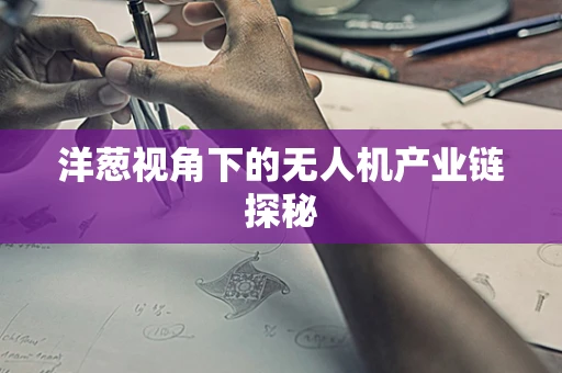 洋葱视角下的无人机产业链探秘