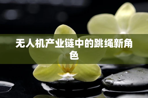 无人机产业链中的跳绳新角色