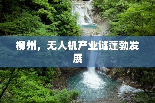 柳州，无人机产业链蓬勃发展