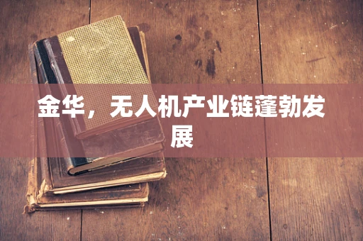金华，无人机产业链蓬勃发展
