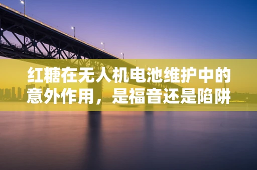 红糖在无人机电池维护中的意外作用，是福音还是陷阱？