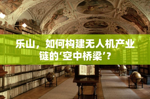 乐山，如何构建无人机产业链的‘空中桥梁’？