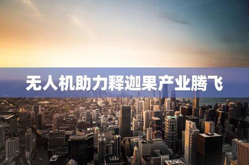 无人机助力释迦果产业腾飞