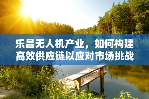 乐昌无人机产业，如何构建高效供应链以应对市场挑战？