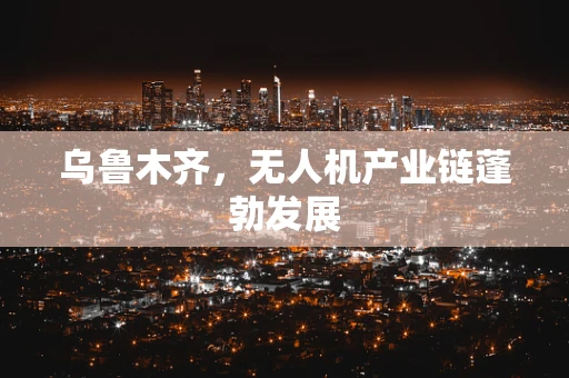 乌鲁木齐，无人机产业链蓬勃发展