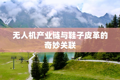 无人机产业链与鞋子皮革的奇妙关联