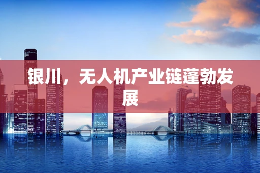 银川，无人机产业链蓬勃发展