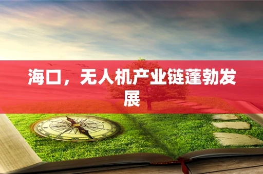 海口，无人机产业链蓬勃发展
