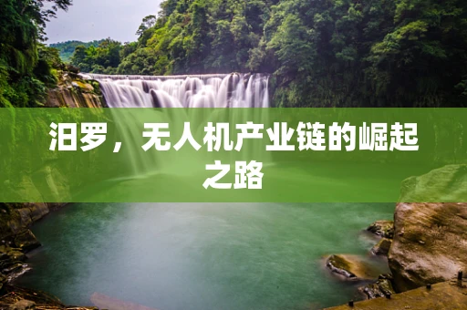 汨罗，无人机产业链的崛起之路
