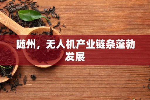 随州，无人机产业链条蓬勃发展