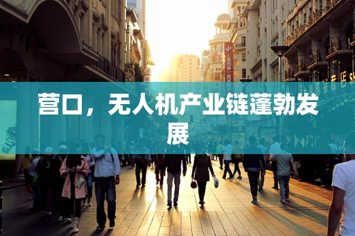 营口，无人机产业链蓬勃发展