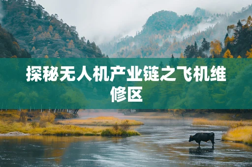 探秘无人机产业链之飞机维修区