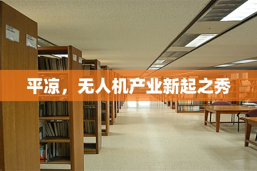 平凉，无人机产业新起之秀
