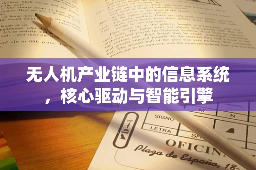 无人机产业链中的信息系统，核心驱动与智能引擎