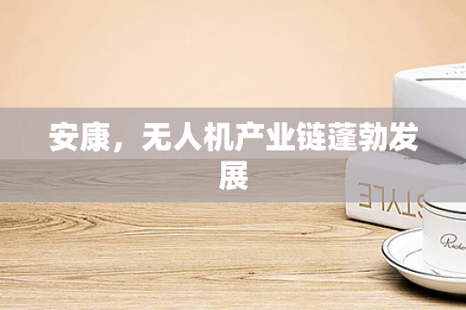 安康，无人机产业链蓬勃发展