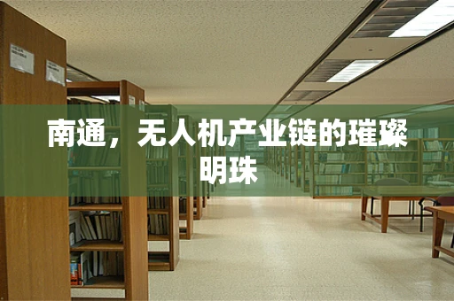南通，无人机产业链的璀璨明珠